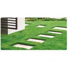 BOSKSEED PRADO CONTROL FLOR